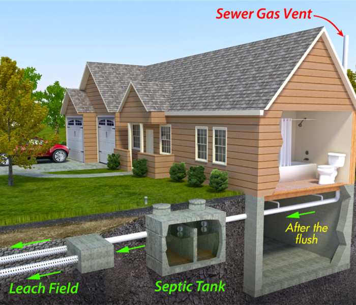 illustration of septic tank and leach field with sewer gas vent.