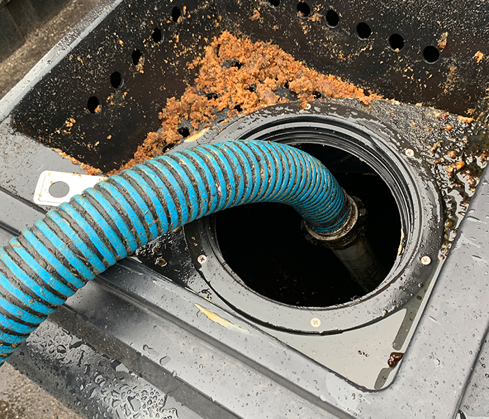 Hose collecting used cooking oil